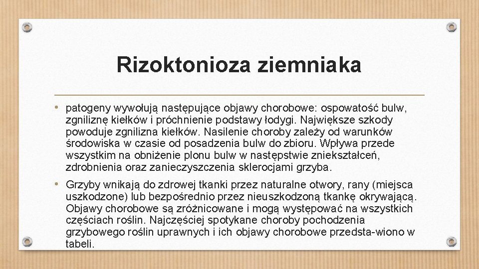 Rizoktonioza ziemniaka • patogeny wywołują następujące objawy chorobowe: ospowatość bulw, zgniliznę kiełków i próchnienie