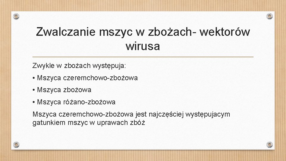 Zwalczanie mszyc w zbożach- wektorów wirusa Zwykle w zbożach występuja: • Mszyca czeremchowo-zbożowa •