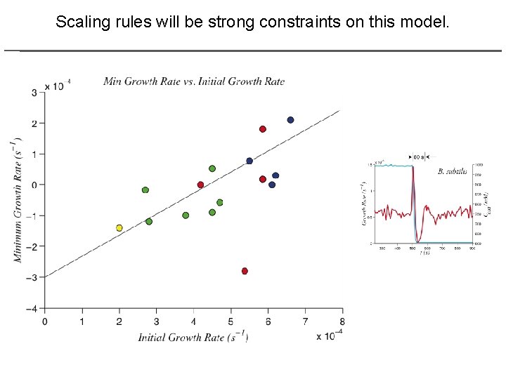 Scaling rules will be strong constraints on this model. 