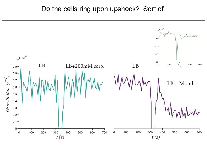 Do the cells ring upon upshock? Sort of. 