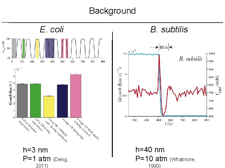 Background E. coli h=3 nm P=1 atm (Deng, 2011) B. subtilis h=40 nm P=10