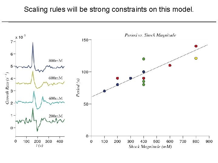 Scaling rules will be strong constraints on this model. 