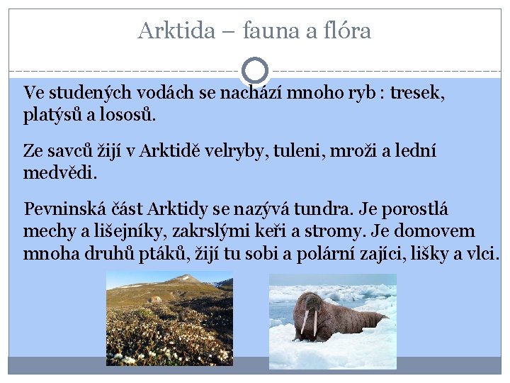 Arktida – fauna a flóra Ve studených vodách se nachází mnoho ryb : tresek,