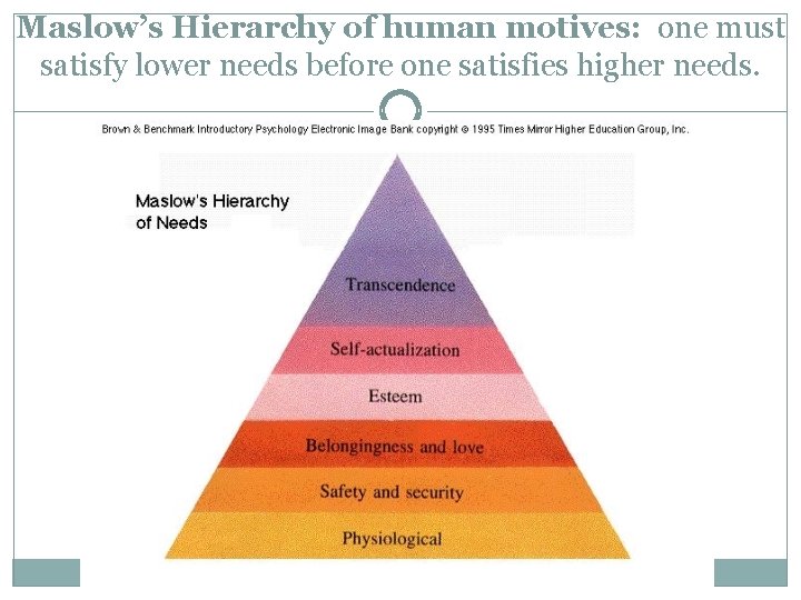 Maslow’s Hierarchy of human motives: one must satisfy lower needs before one satisfies higher