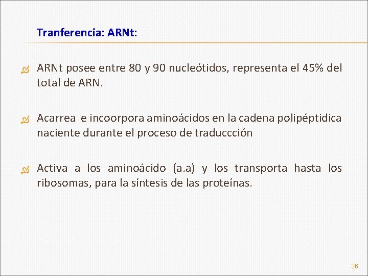 Tranferencia: ARNt posee entre 80 y 90 nucleótidos, representa el 45% del total de