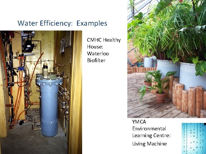 Water Efficiency: Examples CMHC Healthy House: Waterloo Biofilter YMCA Environmental Learning Centre: Living Machine