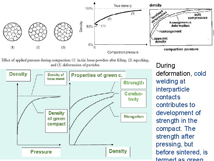 During deformation, cold welding at interparticle contacts contributes to development of strength in the