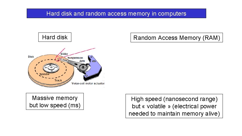 Hard disk and random access memory in computers Hard disk Massive memory but low