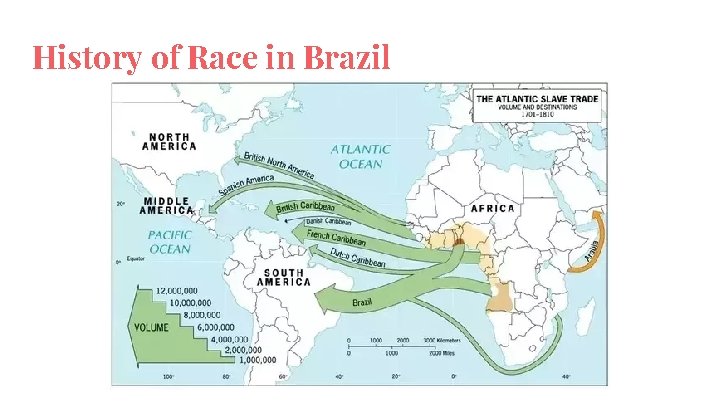 History of Race in Brazil 