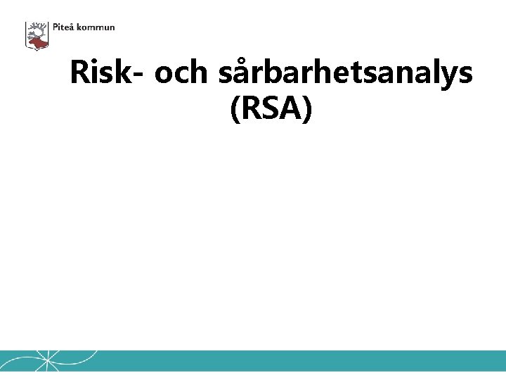 Risk- och sårbarhetsanalys (RSA) 