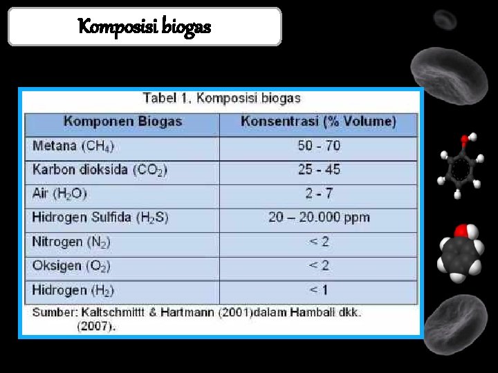 Komposisi biogas 
