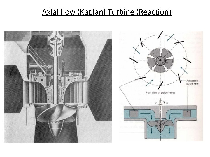 Axial flow (Kaplan) Turbine (Reaction) 