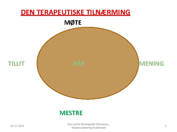 DEN TERAPEUTISKE TILNÆRMING MØTE TILLIT HÅP MENING MESTRE 21. 11. 2019 Gro Cecilie Meisingseth