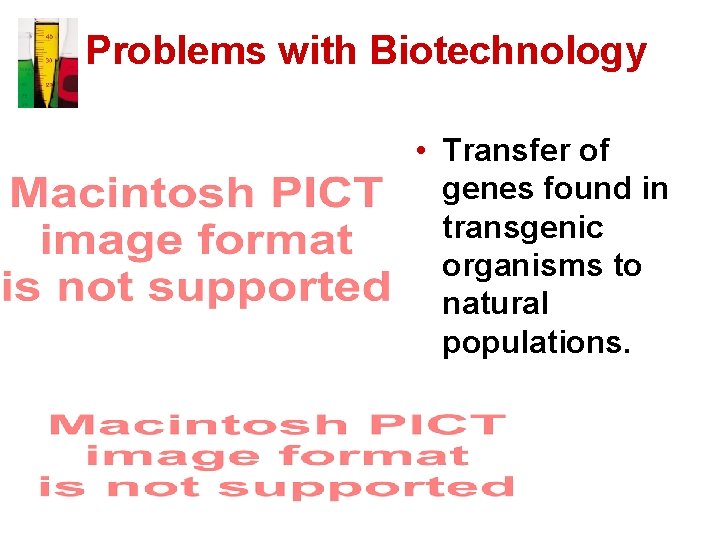 Problems with Biotechnology • Transfer of genes found in transgenic organisms to natural populations.