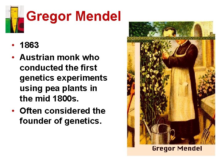 Gregor Mendel • 1863 • Austrian monk who conducted the first genetics experiments using
