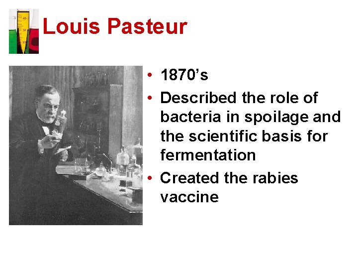Louis Pasteur • 1870’s • Described the role of bacteria in spoilage and the
