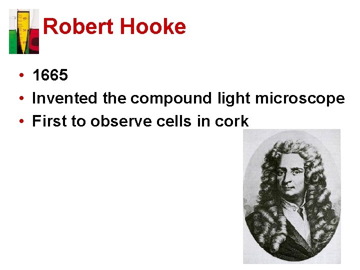 Robert Hooke • 1665 • Invented the compound light microscope • First to observe