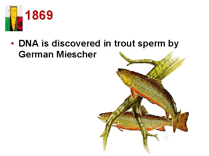 1869 • DNA is discovered in trout sperm by German Miescher 