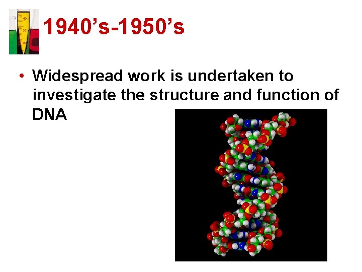 1940’s-1950’s • Widespread work is undertaken to investigate the structure and function of DNA