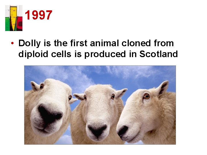 1997 • Dolly is the first animal cloned from diploid cells is produced in