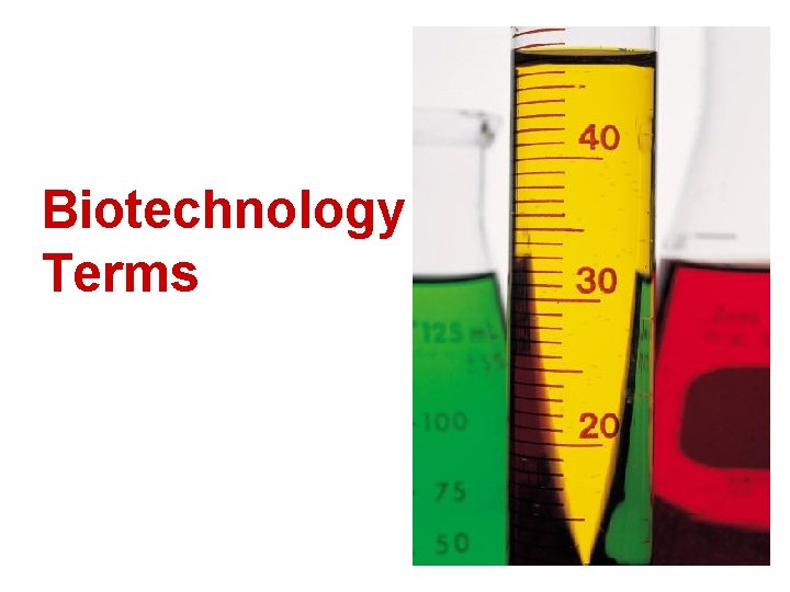 Biotechnology Terms 