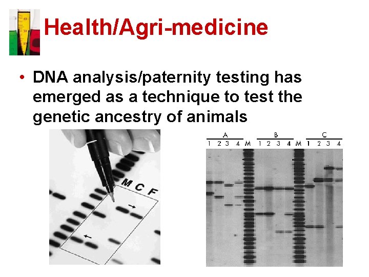 Health/Agri-medicine • DNA analysis/paternity testing has emerged as a technique to test the genetic