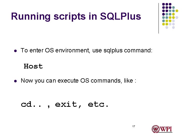 Running scripts in SQLPlus l To enter OS environment, use sqlplus command: Host l