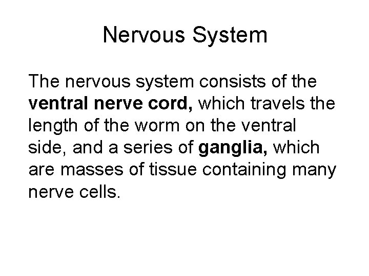 Nervous System The nervous system consists of the ventral nerve cord, which travels the