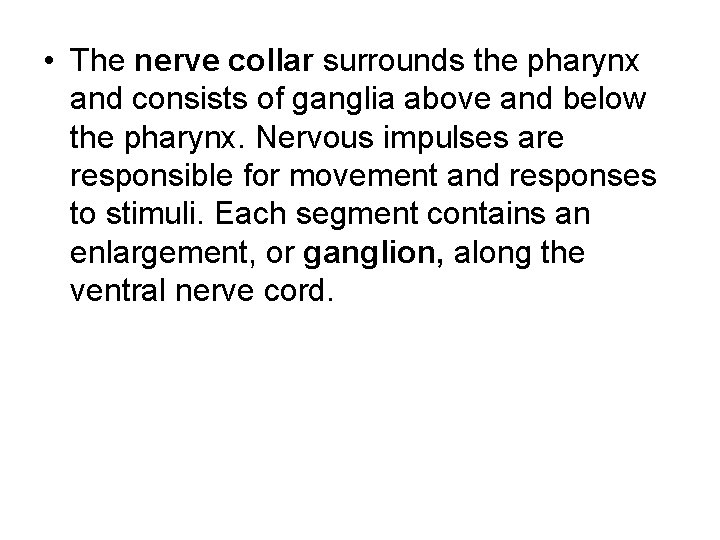  • The nerve collar surrounds the pharynx and consists of ganglia above and