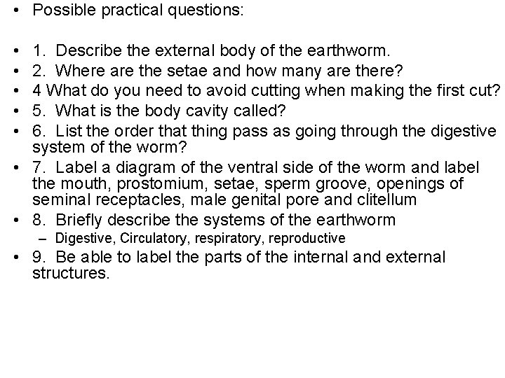  • Possible practical questions: • • • 1. Describe the external body of
