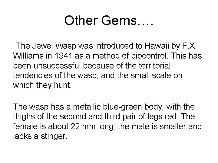 Other Gems…. The Jewel Wasp was introduced to Hawaii by F. X. Williams in
