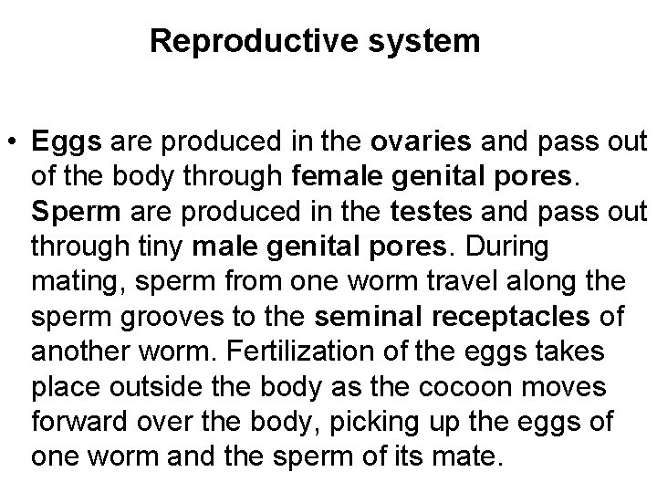 Reproductive system • Eggs are produced in the ovaries and pass out of the