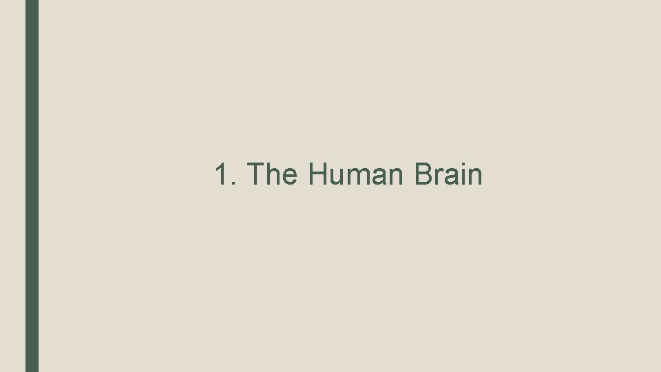 1. The Human Brain 