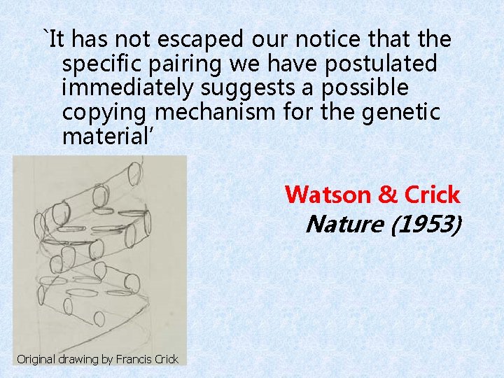 `It has not escaped our notice that the specific pairing we have postulated immediately