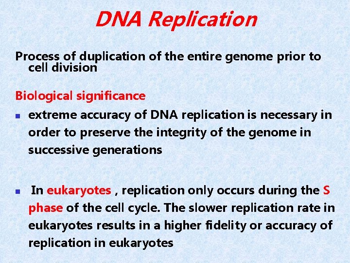 DNA Replication Process of duplication of the entire genome prior to cell division Biological