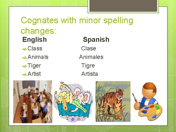 Cognates with minor spelling changes: English Class Animals Tiger Artist Spanish Clase Animales Tigre