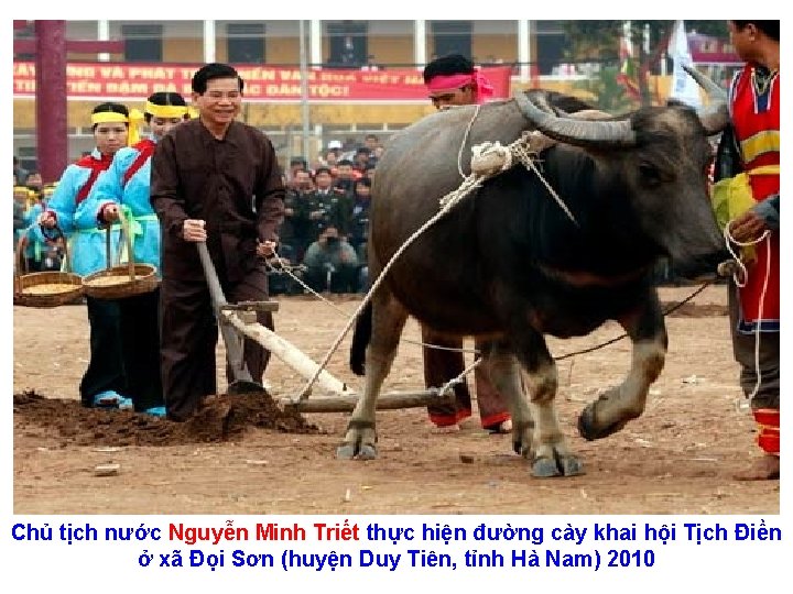 Chủ tịch nước Nguyễn Minh Triết thực hiện đường cày khai hội Tịch Điền