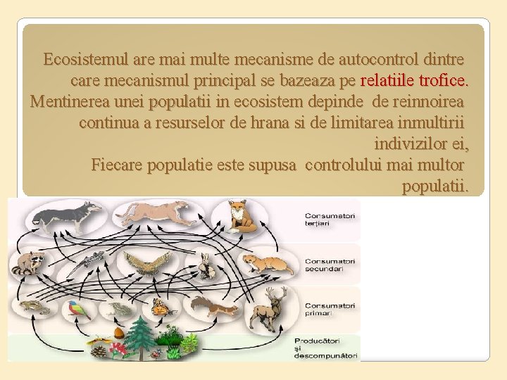 Ecosistemul are mai multe mecanisme de autocontrol dintre care mecanismul principal se bazeaza pe