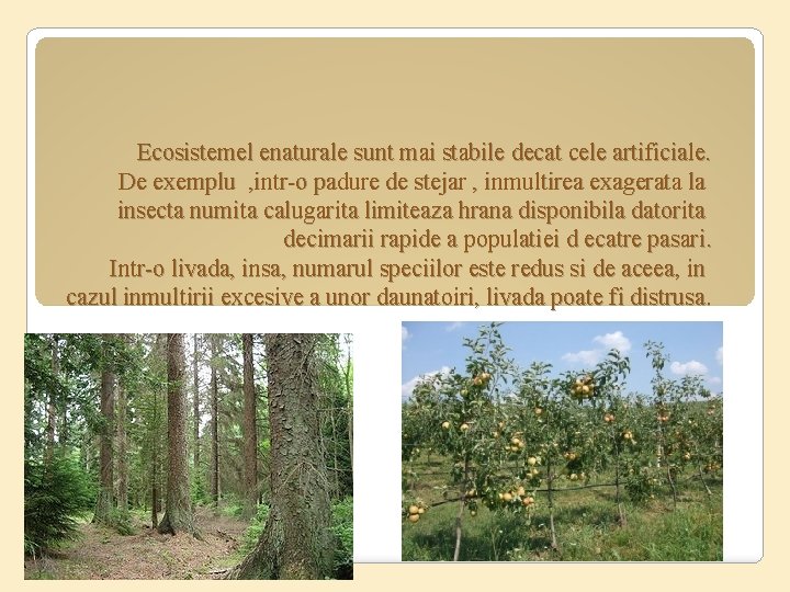Ecosistemel enaturale sunt mai stabile decat cele artificiale. De exemplu , intr-o padure de