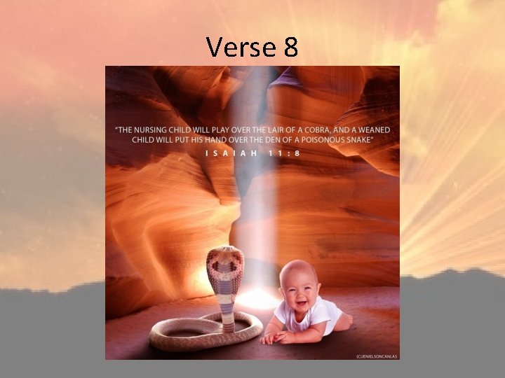 Verse 8 