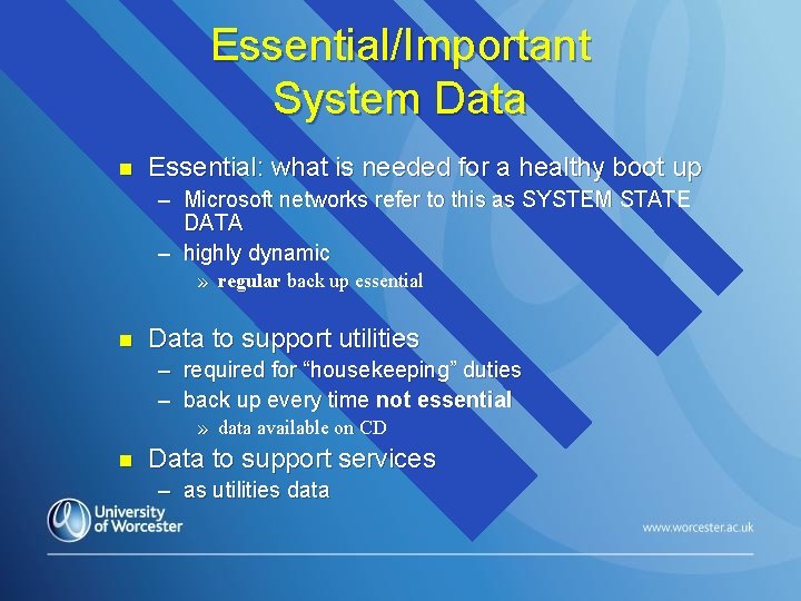 Essential/Important System Data n Essential: what is needed for a healthy boot up –