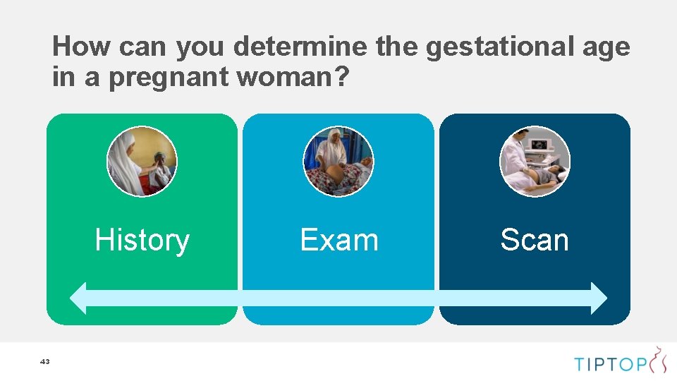 How can you determine the gestational age in a pregnant woman? History 43 Exam