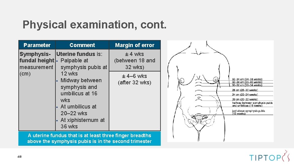 Physical examination, cont. Parameter Comment Symphysis- Uterine fundus is: fundal height Palpable at measurement