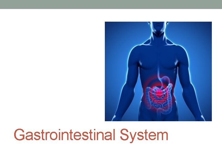 Gastrointestinal System 