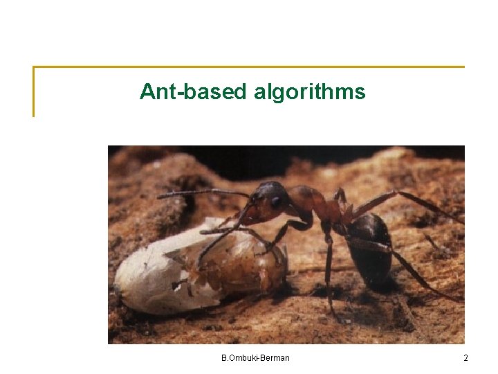 Ant-based algorithms B. Ombuki-Berman 2 