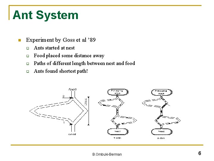 Ant System n Experiment by Goss et al ’ 89 q q Ants started