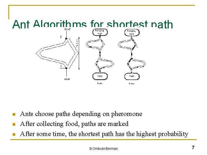 Ant Algorithms for shortest path n n n Ants choose paths depending on pheromone