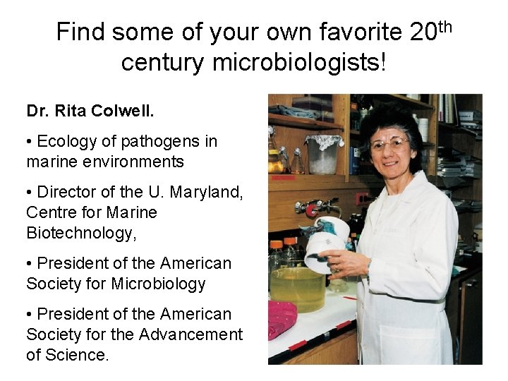 Find some of your own favorite 20 th century microbiologists! Dr. Rita Colwell. •