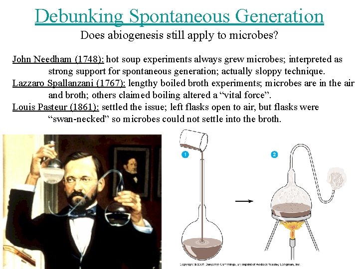 Debunking Spontaneous Generation Does abiogenesis still apply to microbes? John Needham (1748): hot soup