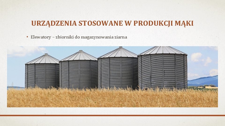 URZĄDZENIA STOSOWANE W PRODUKCJI MĄKI • Elewatory – zbiorniki do magazynowania ziarna 